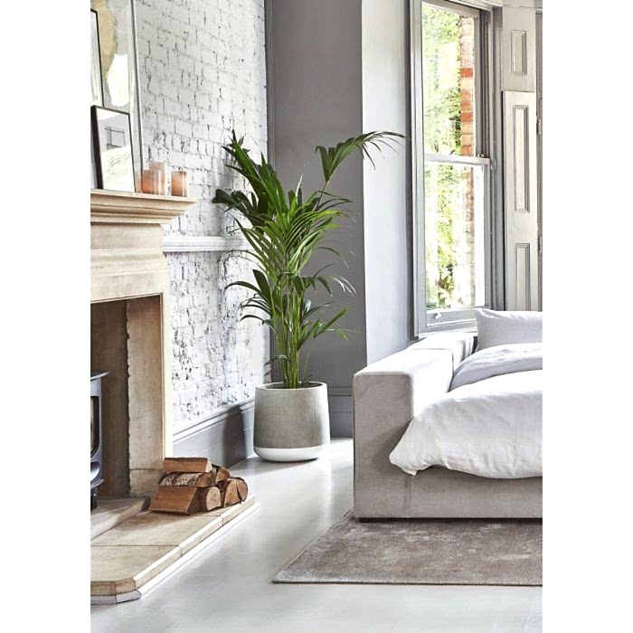 Concrete Floor Planter - White