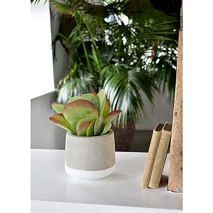 Small Concrete Pot - White