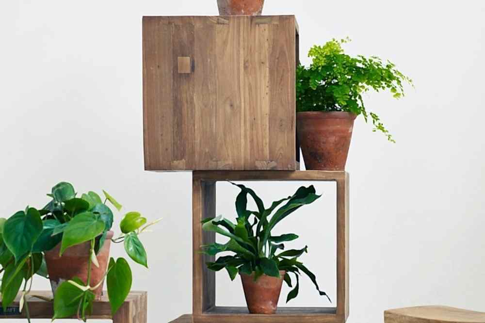 Indoor plants for space and fresh air